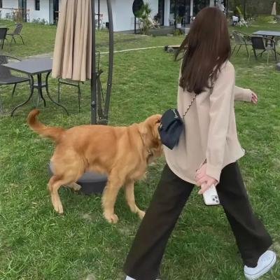 你在哪里逗留
